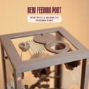 Woodland Jumping Spider Enclosure Kit – 2.
