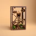 Woodland Jumping Spider Enclosure Kit – 1.