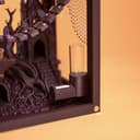 Gothic Jumping Spider Enclosure Kit – 6.