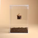 Acorn Jumping Spider Hide – 7.