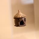 Acorn Jumping Spider Hide – 8.