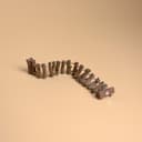 Magnetic Rope Bridge for Jumping Spiders – 5.
