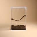 Magnetic Rope Bridge for Jumping Spiders – 4.
