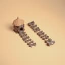 Magnetic Rope Bridge for Jumping Spiders – 10.