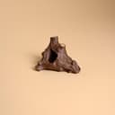 Corner Log Hide for Jumping Spider – 4.