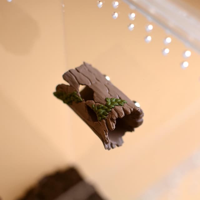Magnetic Hollow Log Hide for Jumping Spiders