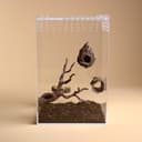 Magnetic Hollow Log Hide for Jumping Spiders – 5.