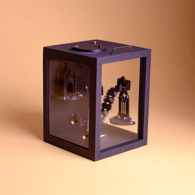 Gothic Mini Jumping Spider Terrarium