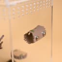 Magnetic Hollow Log Hide for Jumping Spiders – 7.