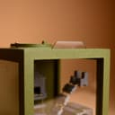 Mayan Mini Jumping Spider Terrarium – 5.