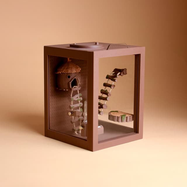 Woodland Mini Jumping Spider Terrarium