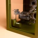 Mayan Mini Jumping Spider Terrarium – 9.