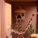 Woodland Mini Jumping Spider Terrarium – 3.