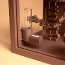 Woodland Mini Jumping Spider Terrarium – 7.
