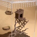 Magnetic Woodland Cabin Hide for Jumping Spider – 9.