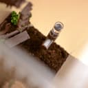 Magnetic Jumping Spider Water Feeder – 4.