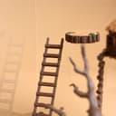 Mini Wooden Ladder for Jumping Spider – 1.