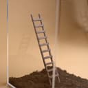 Mini Wooden Ladder for Jumping Spider – 3.
