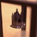 Gothic Chapel Jumping Spider Hide – 3.