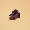 Gothic Chapel Jumping Spider Hide – 7.