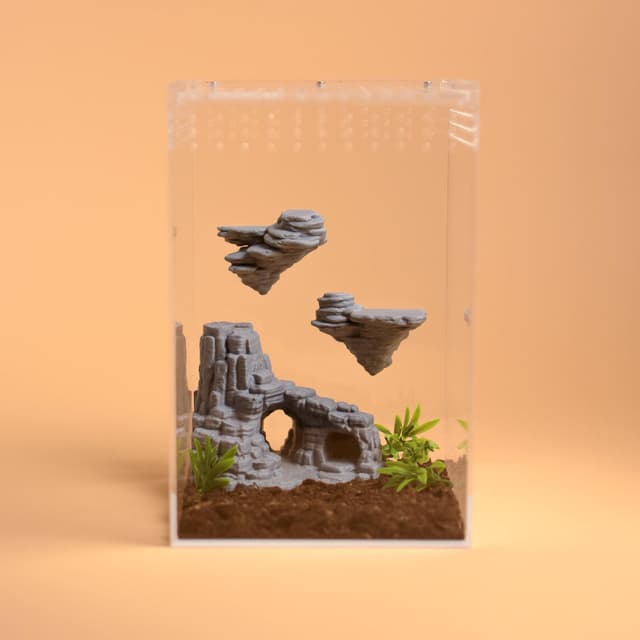 Jumping Spider Rock Hide Set