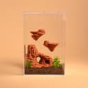 Jumping Spider Rock Hide Set – 5.