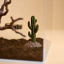 Mini Desert Cactus Decor – 1.
