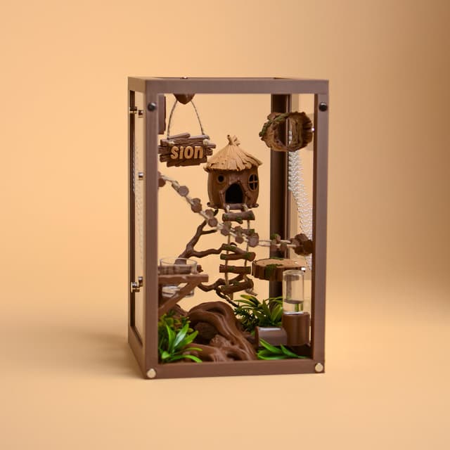 Woodland Jumping Spider Enclosure Kit