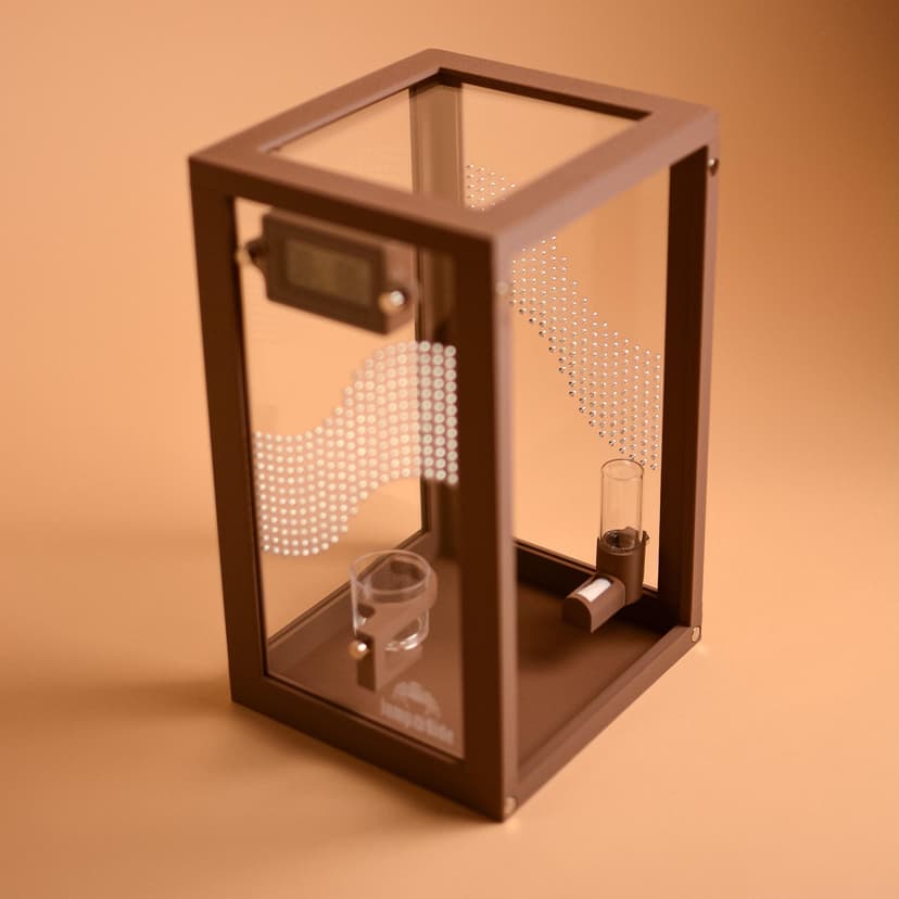 Jumping Spider Enclosure – Empty Terrarium