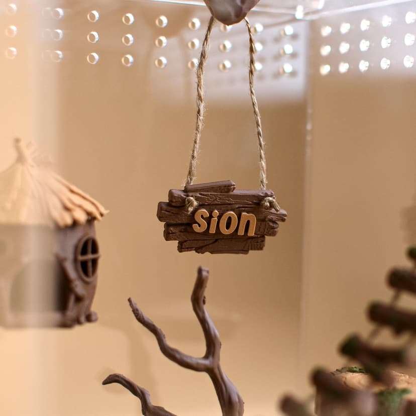 Personalized Jumping Spider Name Sign