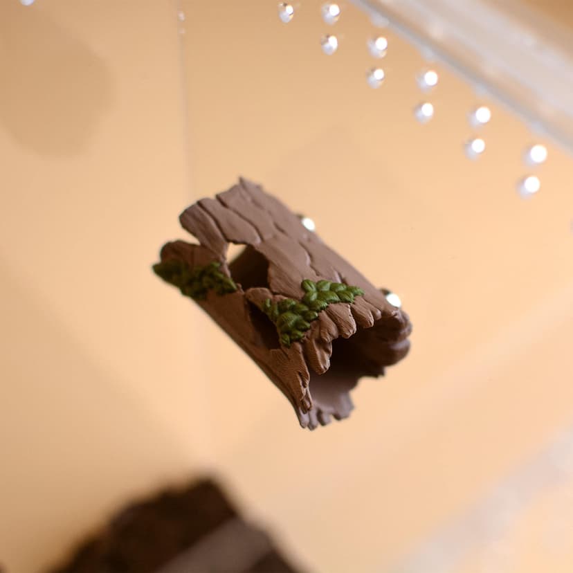 Magnetic Hollow Log Hide for Jumping Spiders
