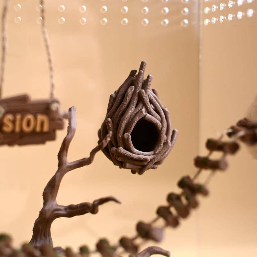 Cozy Nest Hide for Jumping Spider