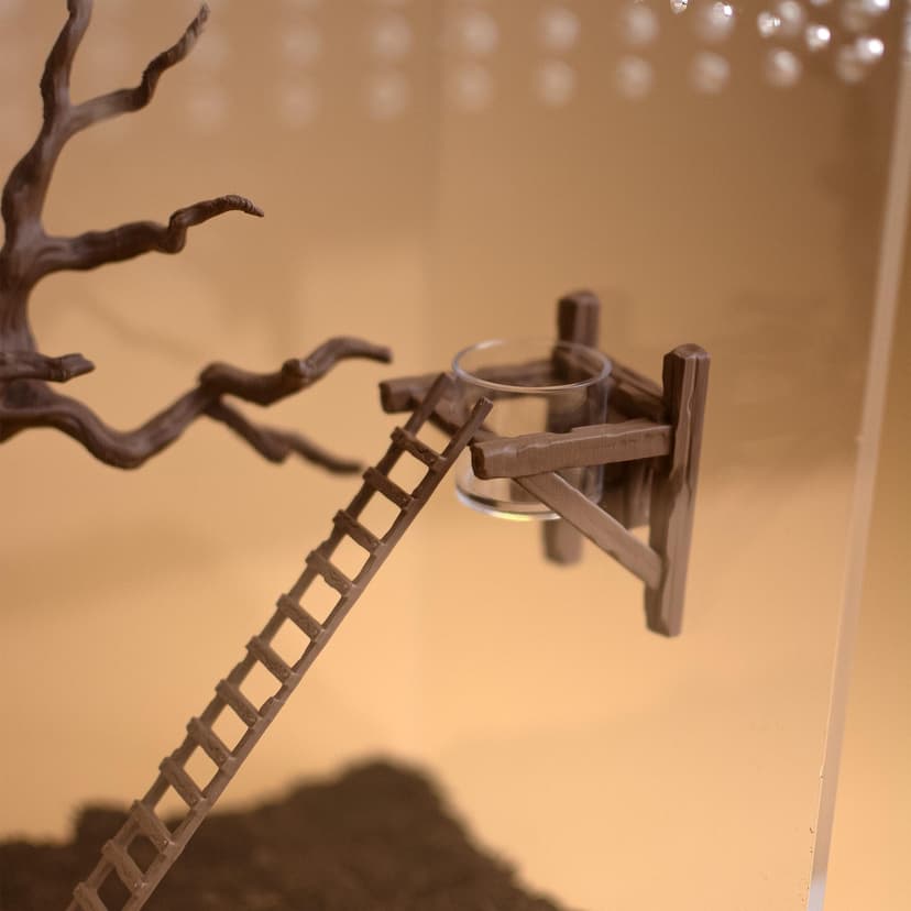 Magnetic Jumping Spider Feeding Ledge