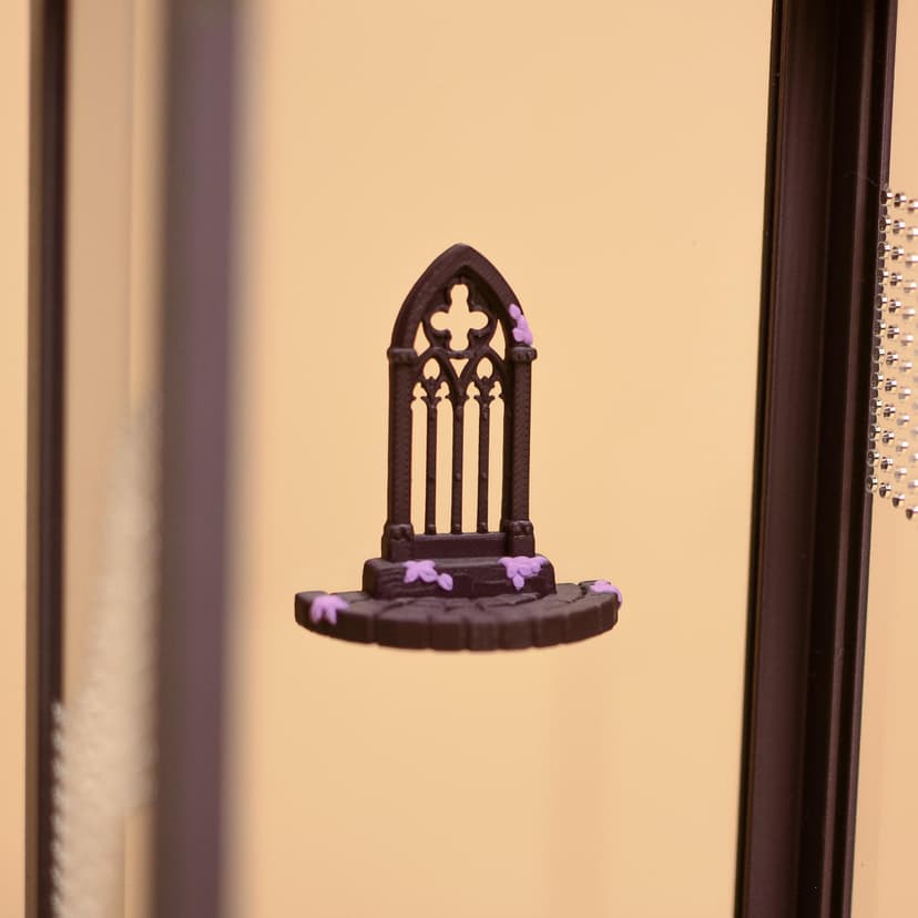 Gothic Cathedral Window Jumping Spider Ledge