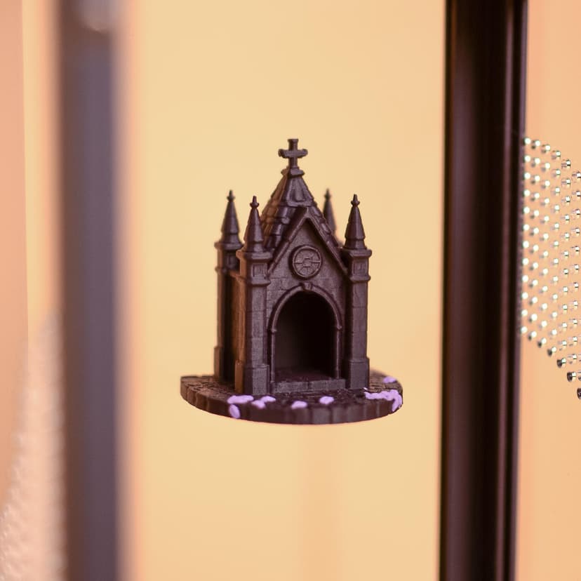 Gothic Chapel Jumping Spider Hide