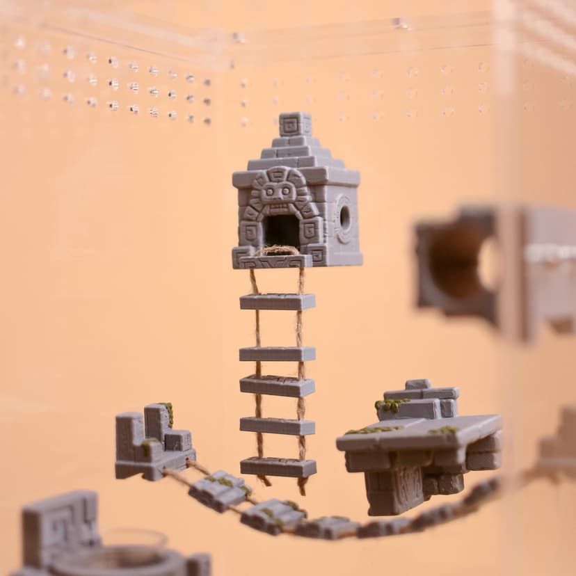 Mayan Temple Hide for Jumping Spiders